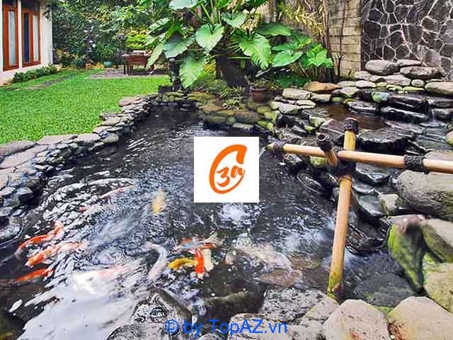 Công ty thiết kế và thi công hồ cá koi tại Bình Dương