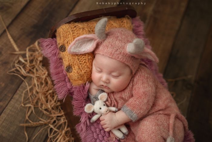 Bộ sưu tập nghệ thuật đáng yêu tại Bơ Studio