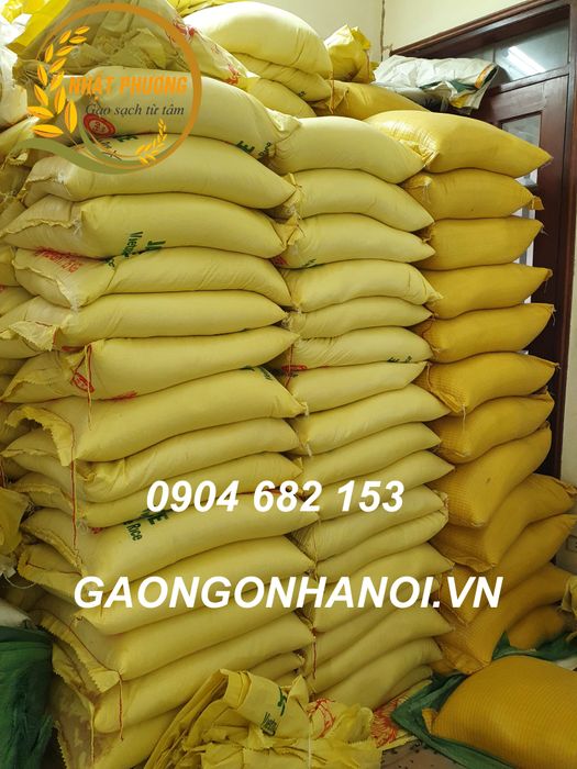 Gạo Ngon Hà Nội ảnh 2