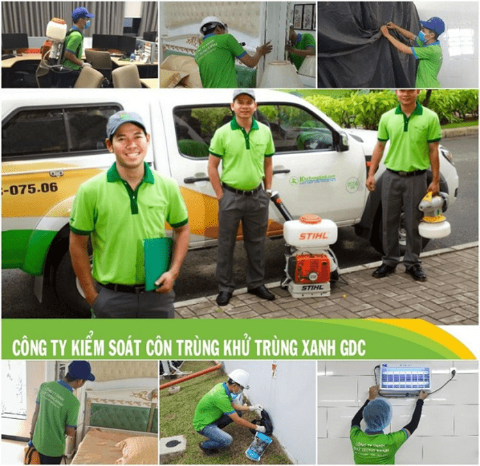 GFC – Công Ty Khử Trùng Xanh (GFC) ảnh 2