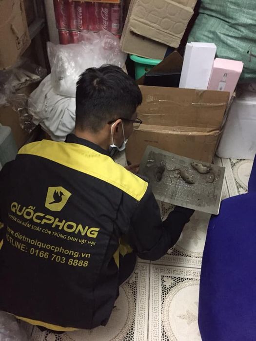 Diệt Mối Tận Gốc Quốc Phong ảnh 1