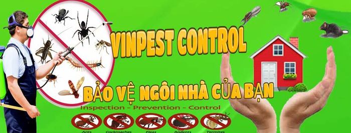 VinPest – Công ty Cổ phần Tập đoàn VinPest (VinPest Group) ảnh 2