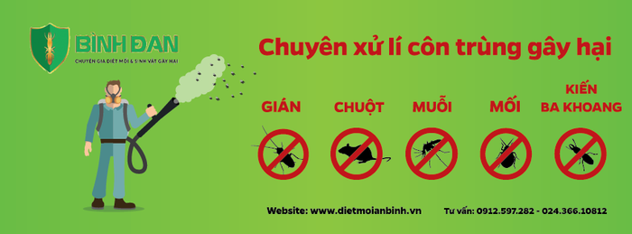 Công ty Diệt Mối Côn Trùng Bình Đan ảnh 2