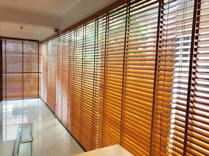 Hình Ảnh Rèm Cửa Mai Hoàng Phát (Ảnh 2)