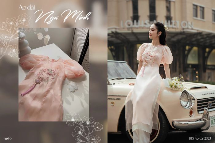 Bộ sưu tập mới nhất tại Méo Shop