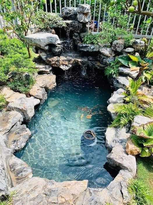 SHome Koi Farm ảnh 2