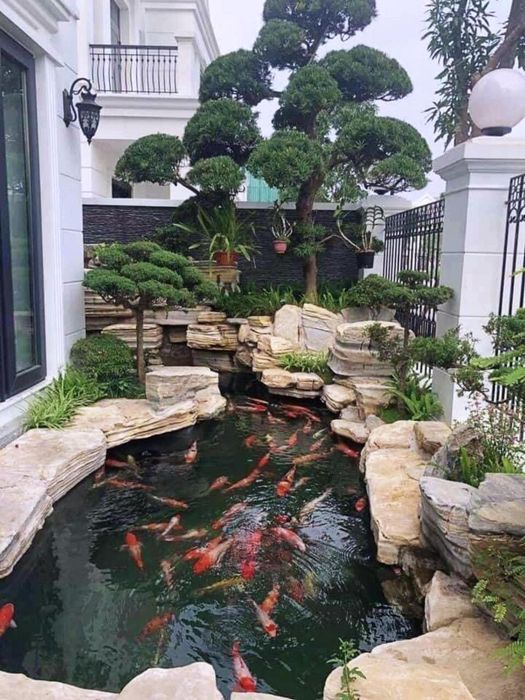 SHome Koi Farm ảnh 1