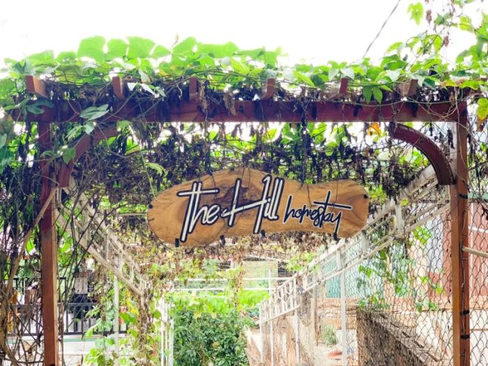 The Hill Homestay - View đồi núi trập trùng say đắm lòng người