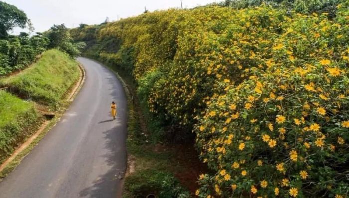B.A Homestay Bảo Lộc - Không gian sống đầy nghệ thuật