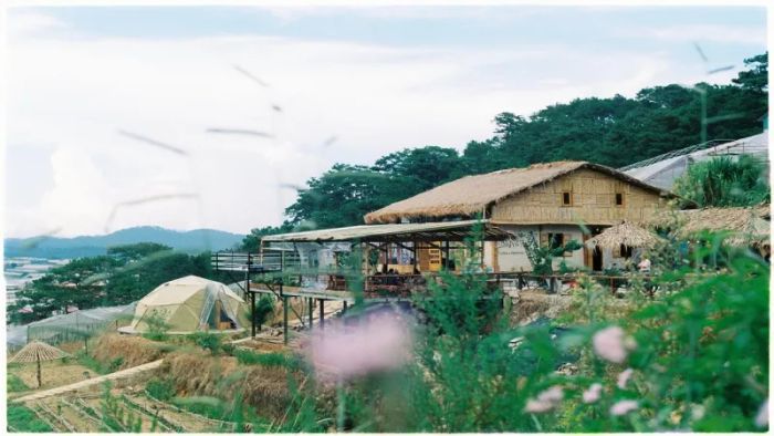 The Organic Life Homestay - Khung cảnh thiên nhiên mát lành