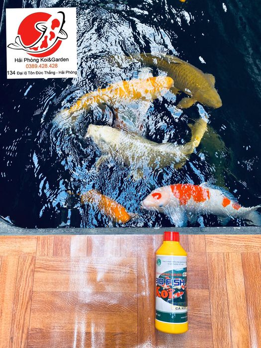 Hải Phòng Koi & Garden ảnh 2