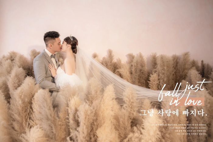 Bộ sưu tập ảnh cưới lãng mạn tại Thảo Vũ Wedding Studio