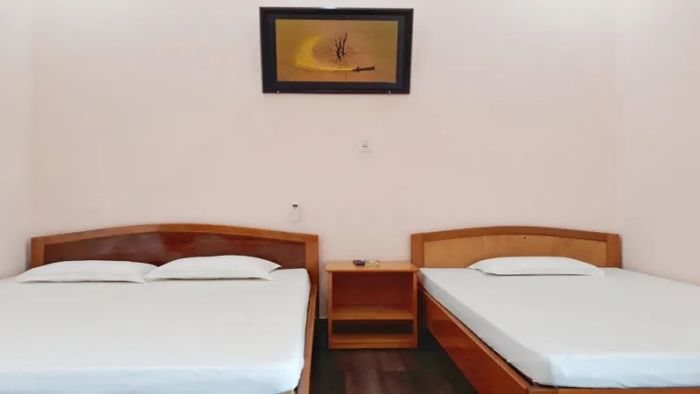 The Organic Life Homestay - Góc sống ảo đầy nghệ thuật