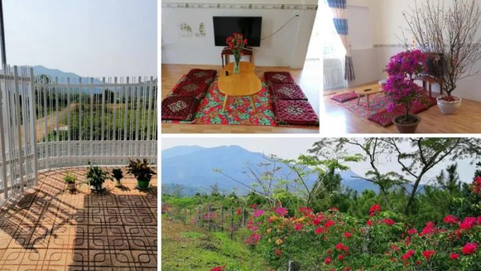 Family Homestay - Không gian xanh mát đầy sức sống