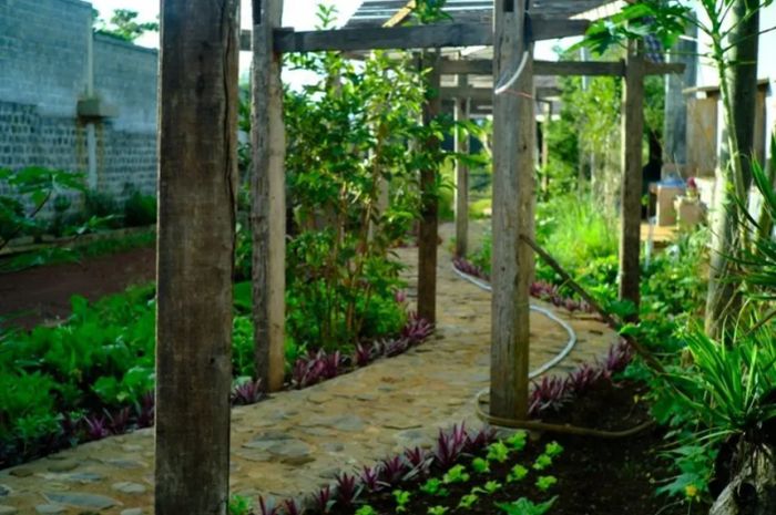 Bảo Lộc House - Không gian sống đậm chất nghệ thuật