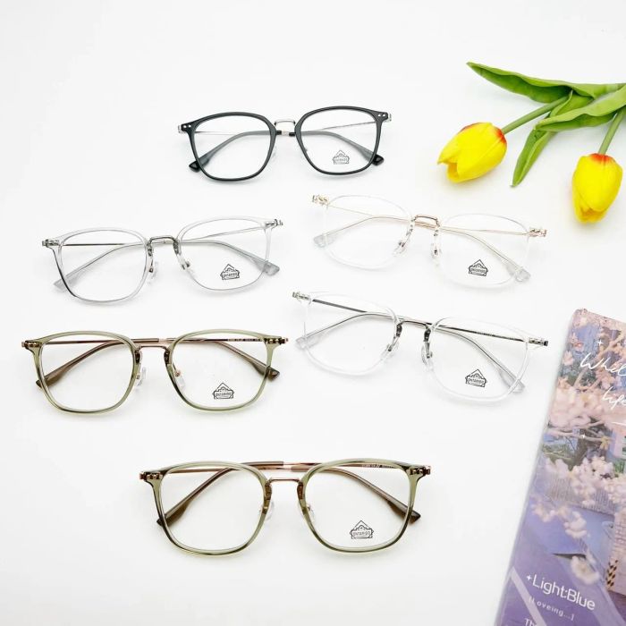 Bộ sưu tập gọng kính cao cấp tại Kính Mắt Vinh Hằng
