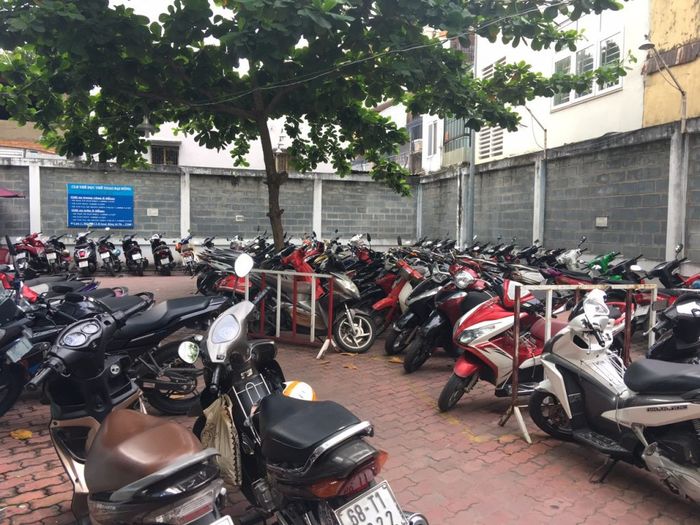 Ảnh minh họa (Nguồn internet) ảnh 1