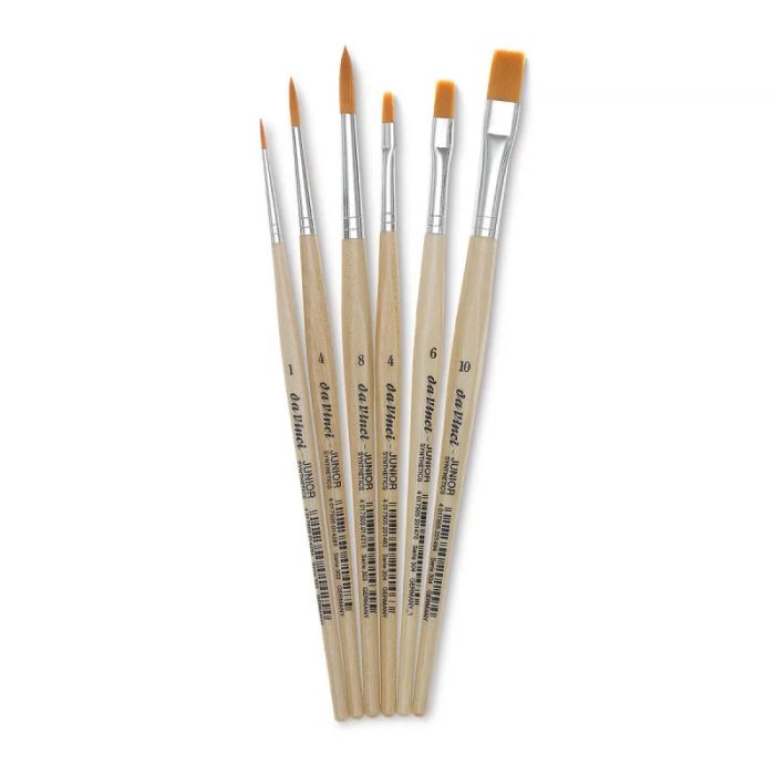 Hình ảnh cọ Da Vinci 1