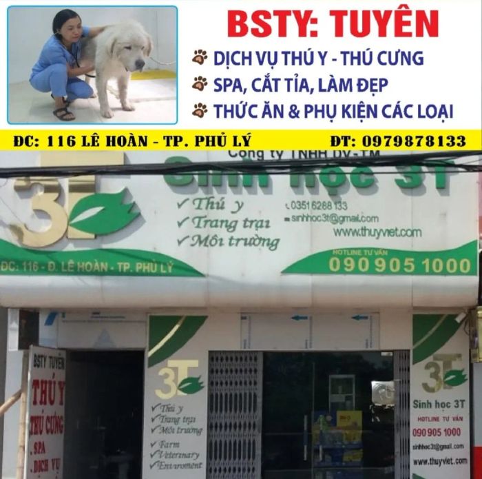 Không gian làm việc chuyên nghiệp tại Công Ty Sinh Học 3T