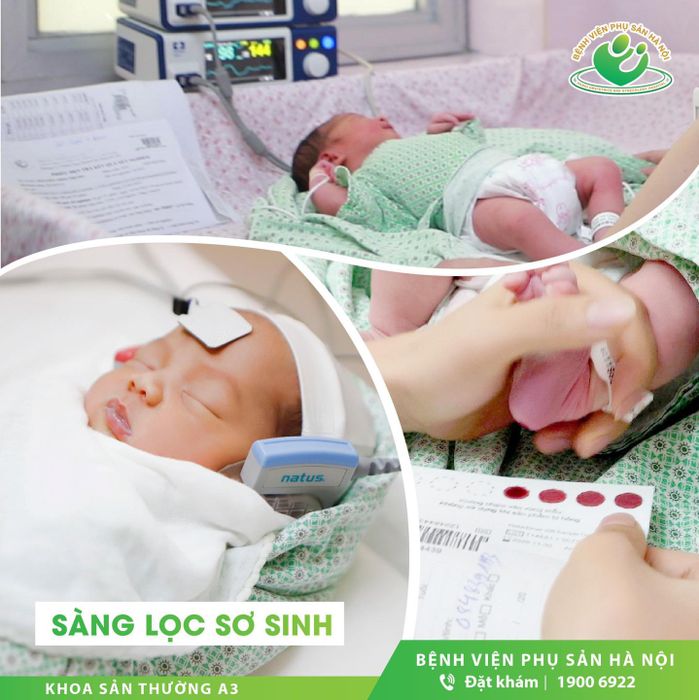 Bệnh viện Phụ Sản Hà Nội ảnh 2