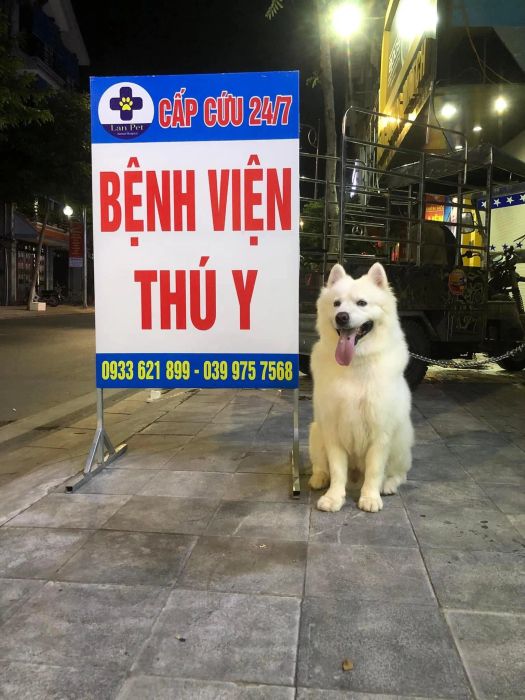 Đội ngũ bác sĩ tận tâm tại LAN PET