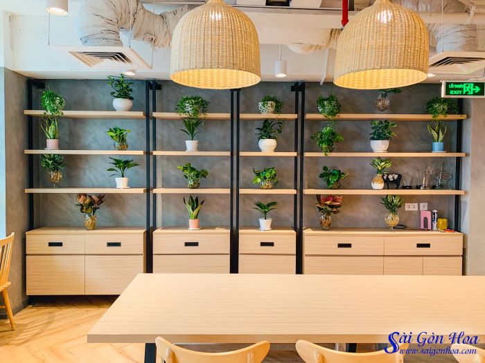 Công ty Cổ phần Sài Gòn Hoa - Hình ảnh 1