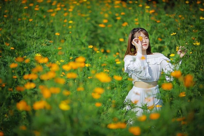 Vườn hoa bãi đá sông Hồng - Hình ảnh 2