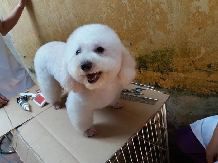 Hình ảnh thực tế về cơ sở vật chất hiện đại tại Sinh Học 3T