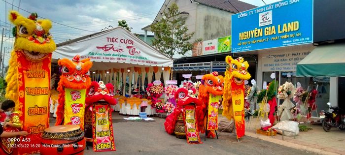 Hình ảnh biểu diễn ấn tượng của Lân Sư Rồng Hùng Nghĩa Đường