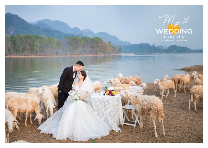 Tuyệt tác ảnh cưới nghệ thuật từ Ảnh Viện Áo Cưới Tuấn Minh
