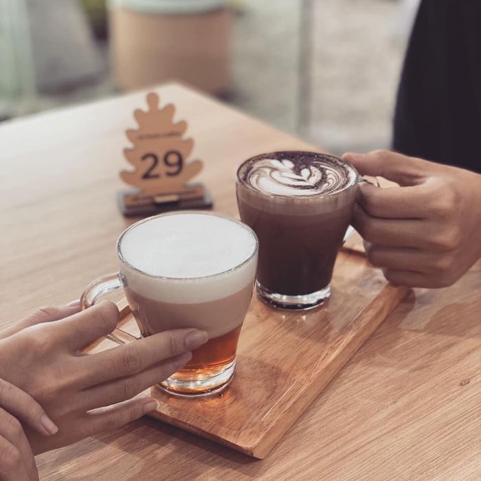 Hi Fern Coffee - Góc xanh dương xỉ qua ống kính đầu tiên