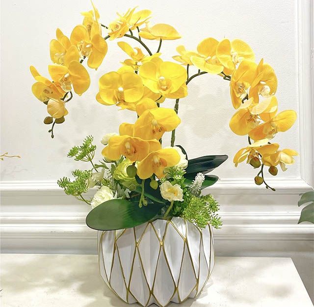 Điểm hẹn của những tâm hồn yêu lan hồ điệp tại Quận 10