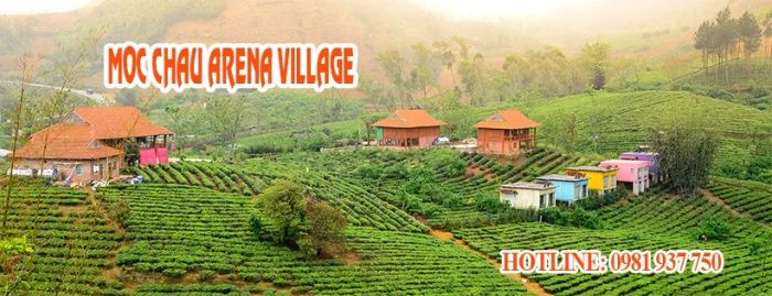 Mocchau Arena Village - Những bungalow container sắc màu giữa đồi chè xanh mướt