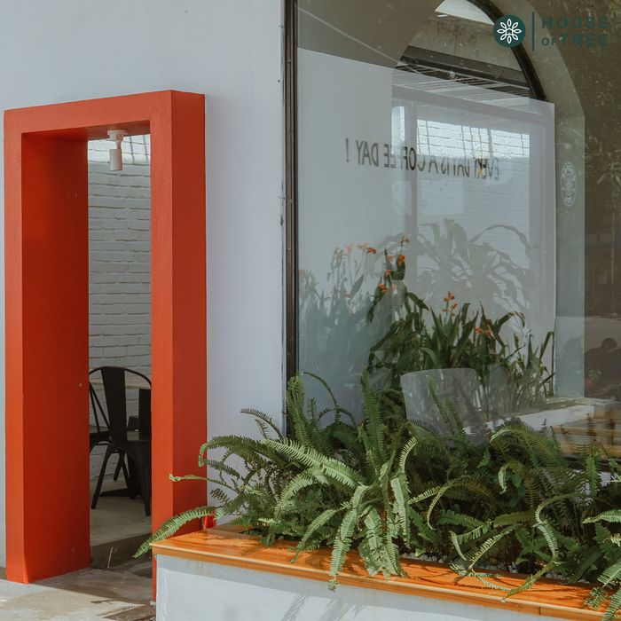 Ngôi nhà trên cây - Ảnh góc độ ấn tượng thứ hai