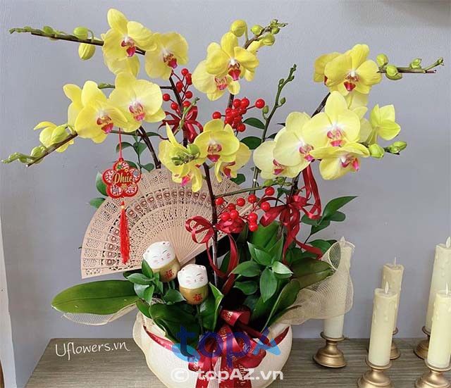 Điểm đến lý tưởng cho những ai yêu lan hồ điệp tại quận 10