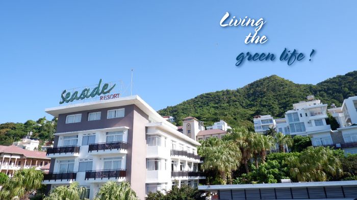 Seaside Resort Vũng Tàu ảnh 1 - Khuôn viên xanh mát tựa resort nhiệt đới