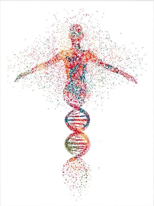 Genlab - Viện Công Nghệ ADN và Phân Tích Di Truyền - Ảnh 1