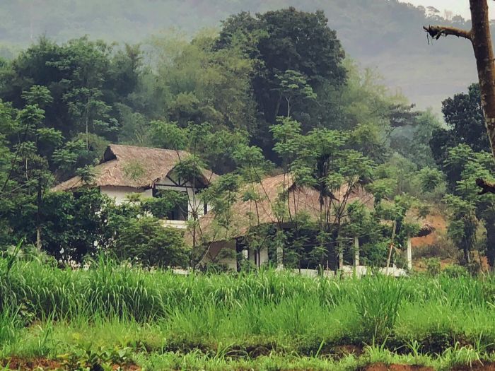 B.Village ảnh 3