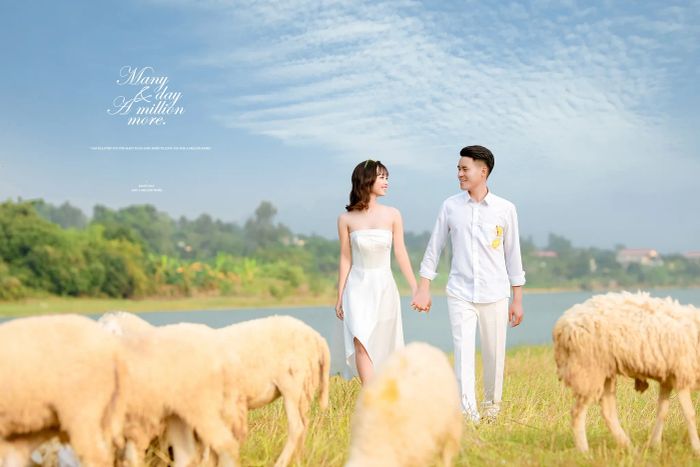 Ảnh Viện Áo Cưới Tú Hưng - Ánh mắt trao nhau ngày cưới