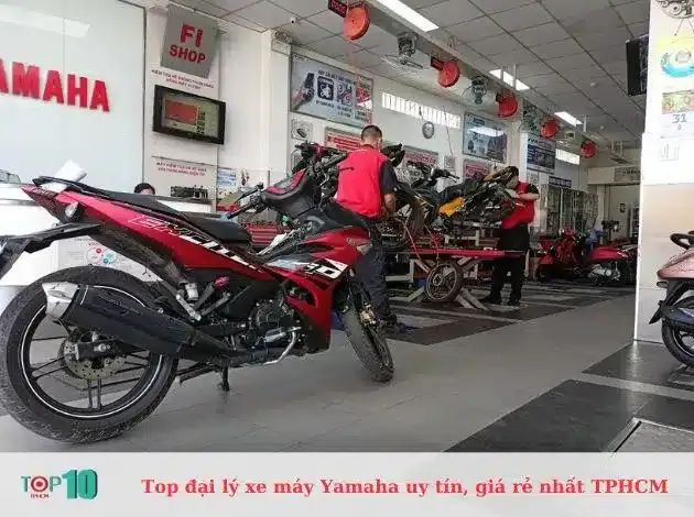 Yamaha Town Long Thành Đạt - Hệ thống đại lý chính hãng toàn TP.HCM