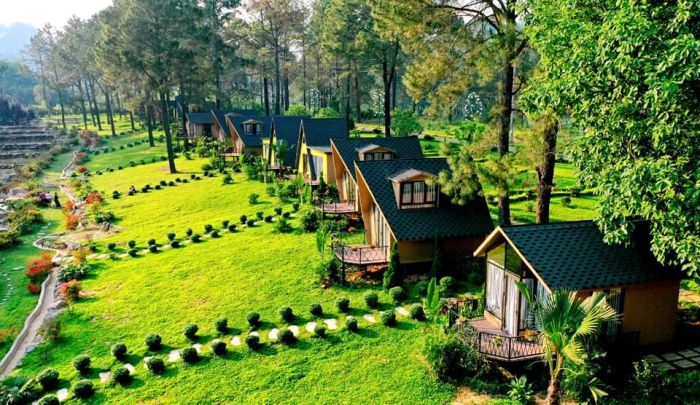 Phoenix Mộc Châu Resort - Hình ảnh tuyệt mỹ giữa rừng thông ngàn năm