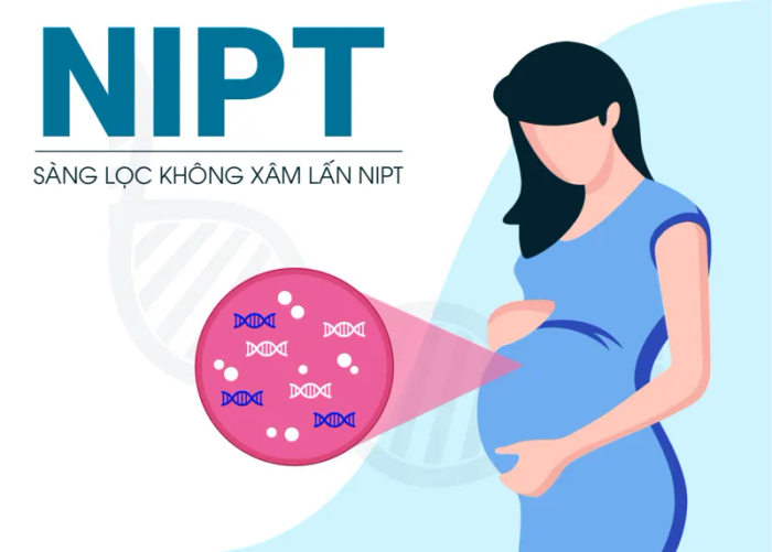 Xét nghiệm NIPT ihope - Ảnh 1