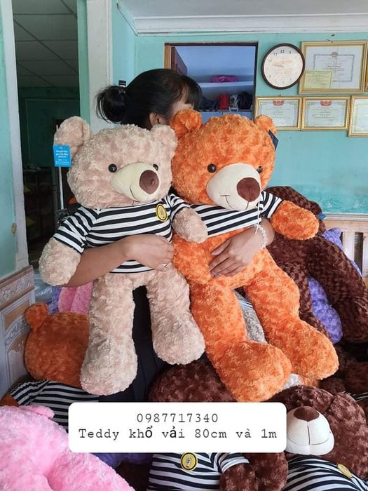 Cửa hàng gấu bông giá rẻ Đà Nẵng - Hình ảnh 2
