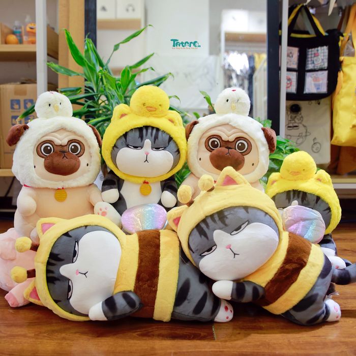 Totoro Việt Nam - Hình ảnh 1