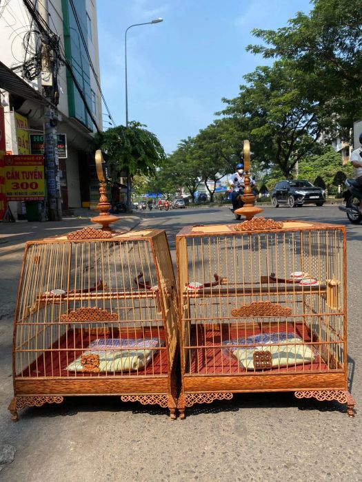 [Ảnh] Tinh hoa nghề chế tác lồng chim - Những tác phẩm độc đáo tại Thiên Vũ