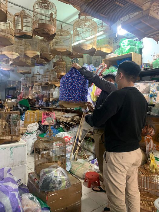 Bộ sưu tập lồng chim tinh xảo tại Lồng Chim Đà Nẵng