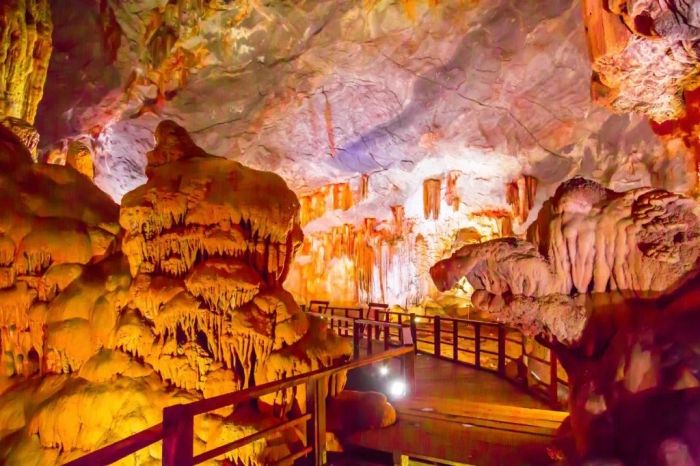 Hình ảnh Hang Đầu Gỗ 1