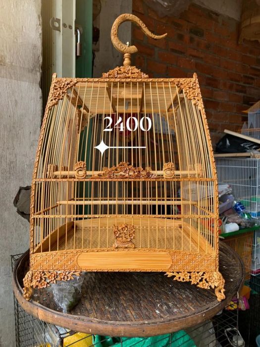 [Bộ sưu tập] Những giống chim quý và lồng chim độc đáo tại A. Thương