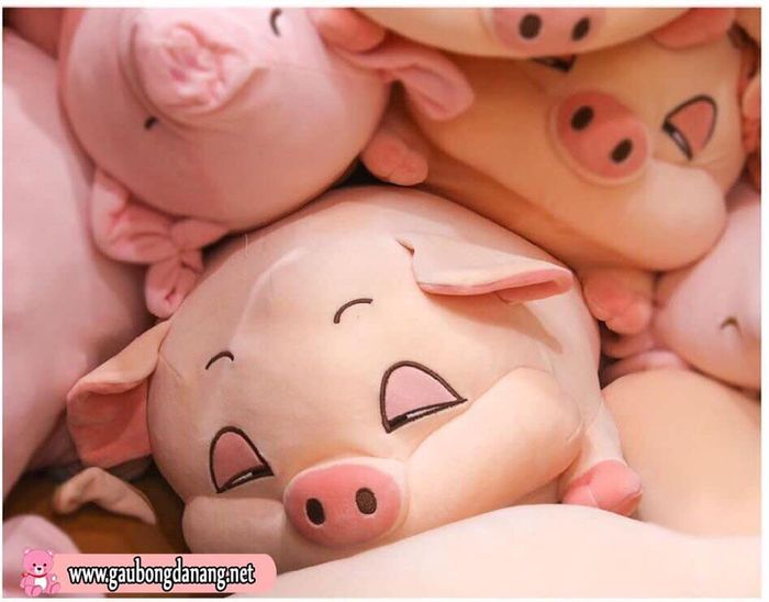 CỬA HÀNG GẤU BÔNG ĐÀ NẴNG - Hình ảnh 3