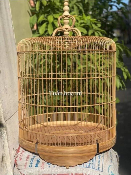 Bộ sưu tập lồng chim đẳng cấp của Tuấn Hoạ Mi